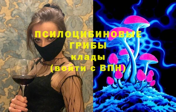 гашиш Бородино