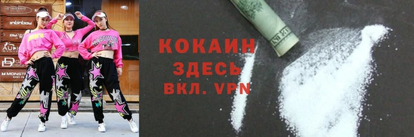 бошки Бронницы