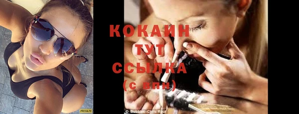 бошки Бронницы