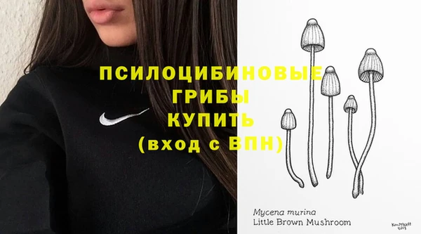 альфа пвп Бугульма
