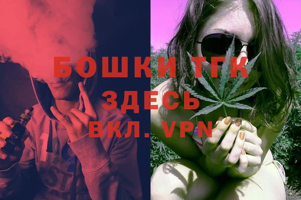 бошки Бронницы