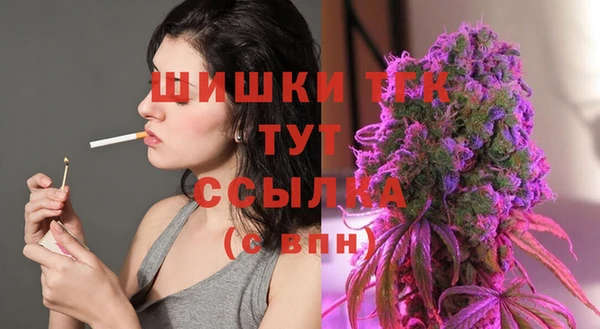 бошки Бронницы