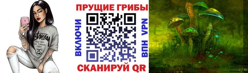 Галлюциногенные грибы прущие грибы  Щёлково 